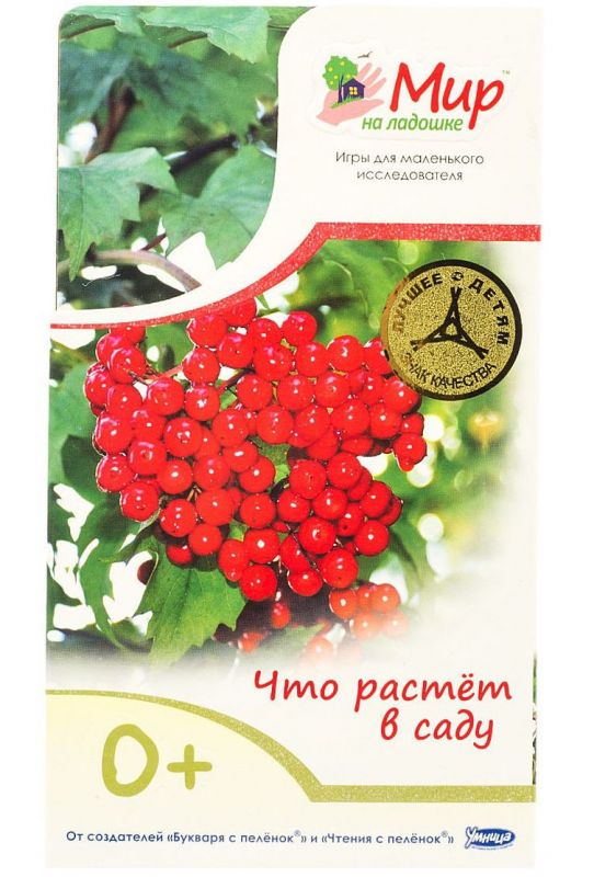 Что растёт в саду Мир на ладошке 1