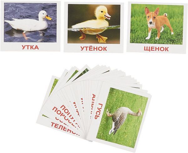 Домашние животные обучающие мини карточки для детей 10х8 см 40 штук