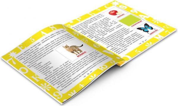 Как вырастить вундеркинда Елена Башкова книга