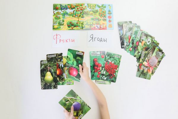 Енот Мир на ладошке Энциклопедия для малышей в фотографиях, развивающие карточки