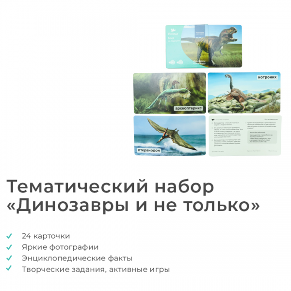 Жираф Мир на ладошке Энциклопедия для малышей в фотографиях, развивающие карточки