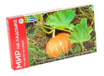 Что растет на грядке Мир на ладошке 3