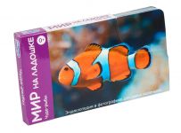 Чудо рыбы Умница Мир на ладошке 5