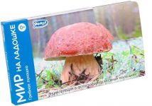 Грибное лукошко Мир на ладошке 4