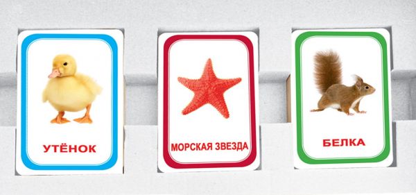 Парочки Мемо для детей 2 домашние и дикие животные обитатели воды