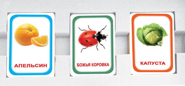 Парочки Мемо для детей 3 фрукты насекомые овощи