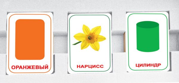 Парочки Мемо для детей 4 цвет цветы форма