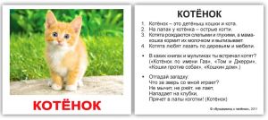 Домашние животные обучающие мини карточки для детей 10х8 см 40 штук