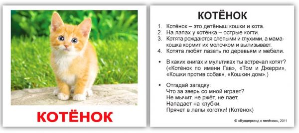 Домашние животные обучающие мини карточки для детей 10х8 см 40 штук
