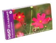 На цветочной полянке Мир на ладошке 5