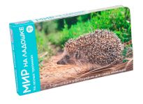 Умница Мир на ладошке-2 На лесных тропинках 2011 конвертик