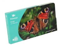 На шести лапках Мир на ладошке 2