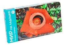 Рекорды природы Мир на ладошке 2