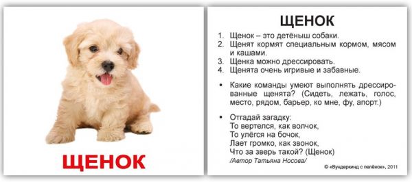 Домашние животные обучающие мини карточки для детей 10х8 см 40 штук
