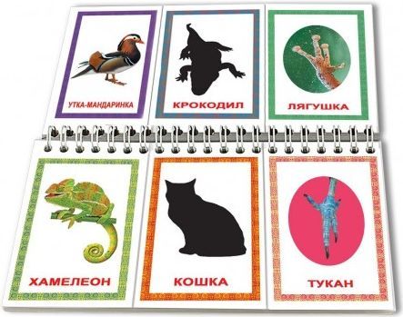 След и тень книга-пазл на пружине карточки для детей по методике Домана 23х12 см 20 штук