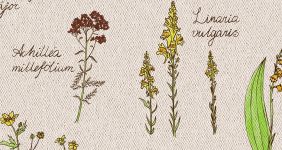 Коврик Mini 100x55x1.5 см (Ботаника/Керамика)