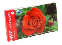 Цветы мира Мир на ладошке 3