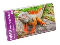 Загадочные рептилии Мир на ладошке 5